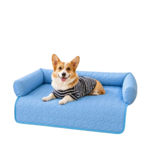 Pawlax
